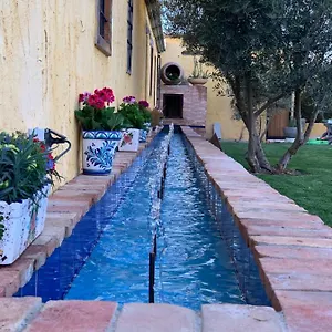 Cortijo Bustamante , Baza España